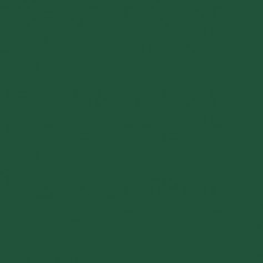 Sketchmarker Темный зеленый (SMG101, Dark Green)