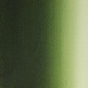 Масляная краска травяная зелёная Мастер-класс, 46 мл.