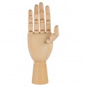 Модель "рука" женская, правая, 25 см.